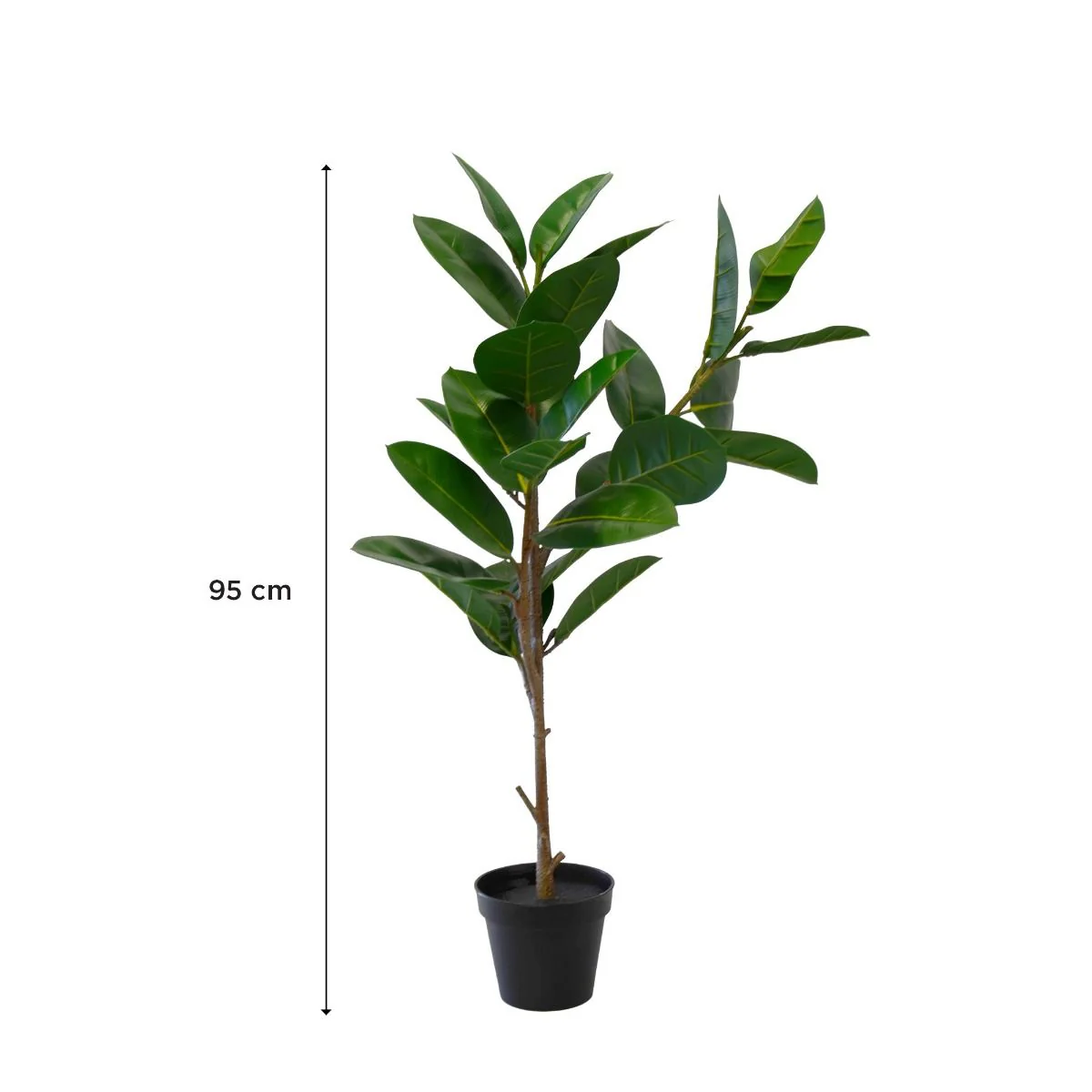 Plante Oak 95 cm - Image 2