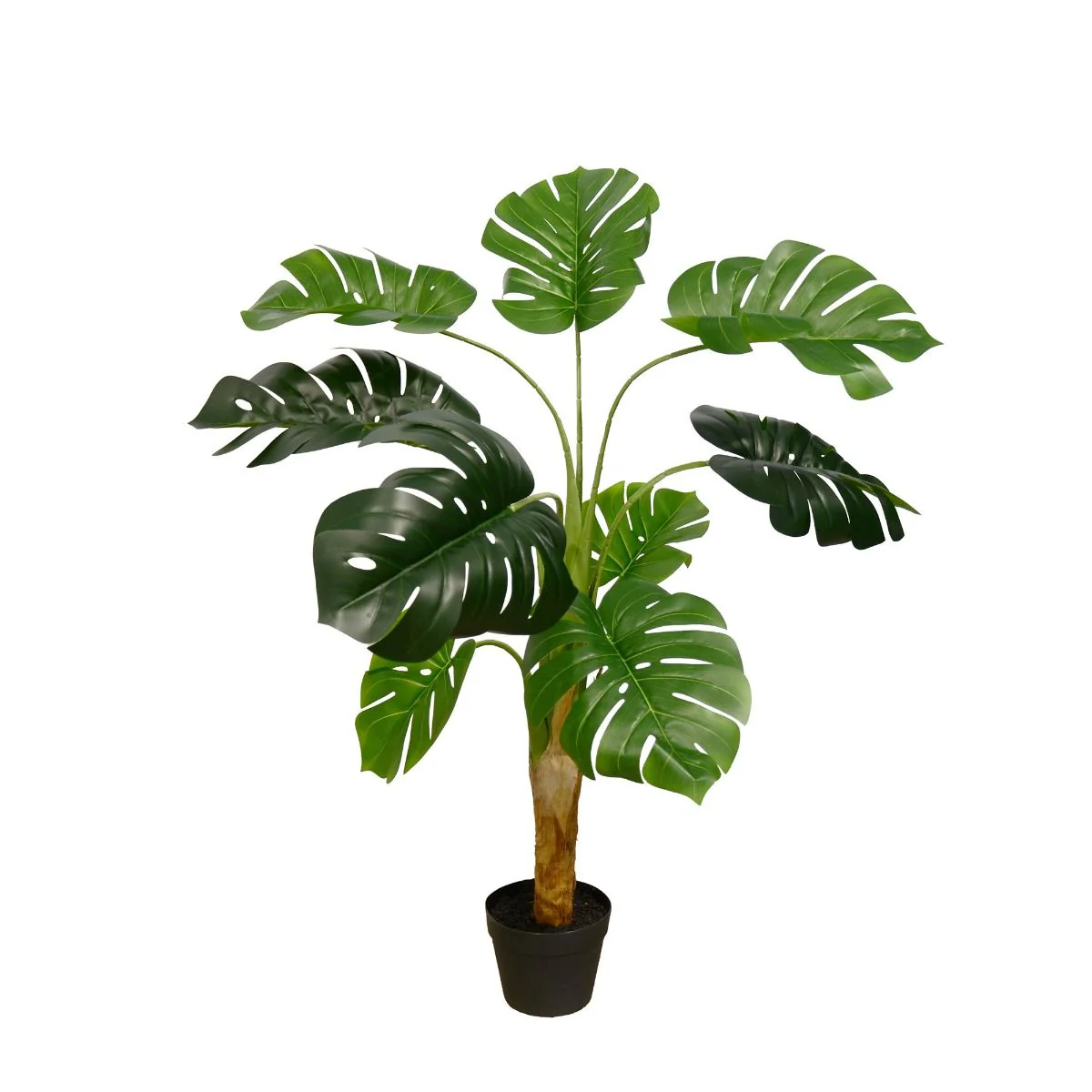 Plante Monstera 130 cm