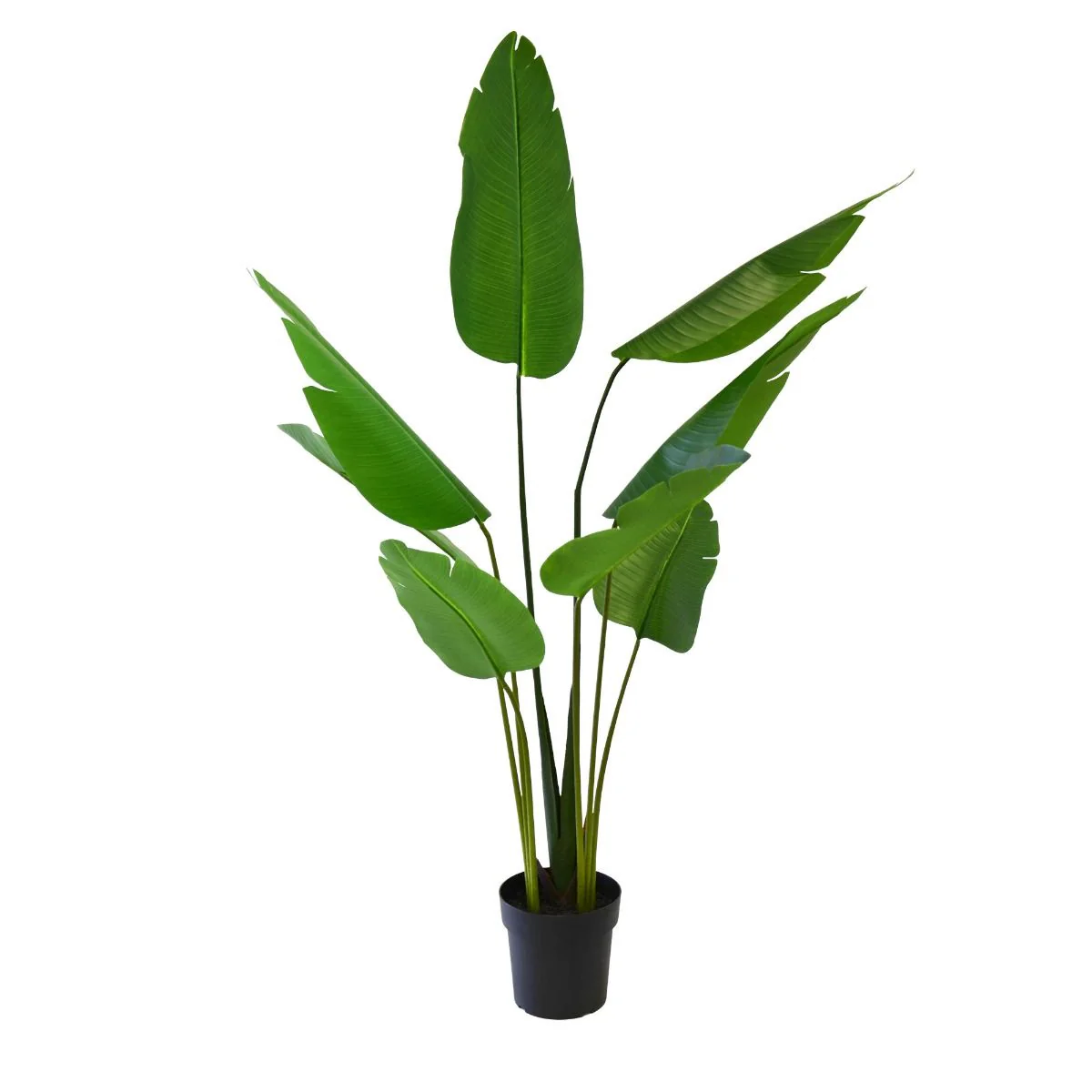 Plante Palmier Paradise 175 cm